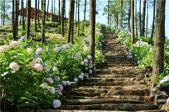 涪陵周边旅游攻略一日游最佳路线，五一去哪儿不发愁