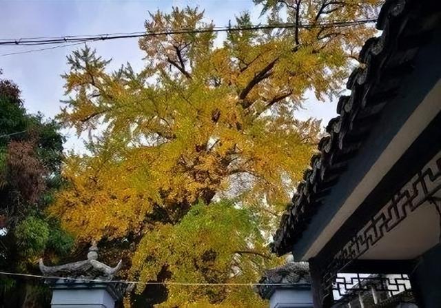 无锡最可怕的古镇，风景可与周庄媲美