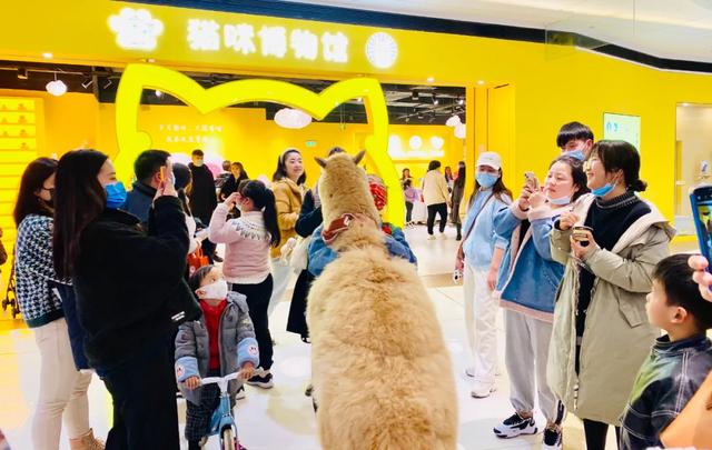 杭州银泰百货官网，银泰百货官网旗舰店（银泰百货、盒马等79家企业入选杭州市首批新零售企业）