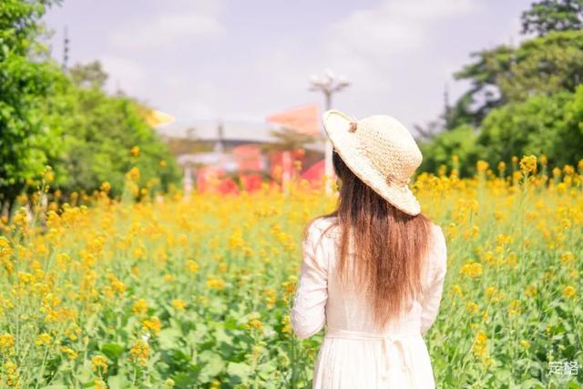 深圳地铁1号线游玩，免费地铁直达深圳这些地方一天玩遍