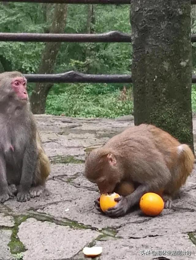 去张家界跟团游，张家界旅游纯玩团攻略和花费