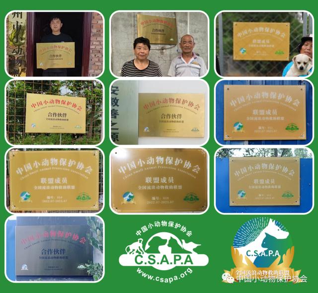 流浪动物救助站，流浪动物救助站统计（爱心人士反映四川江油流浪动物救助站动物生存环境恶劣）