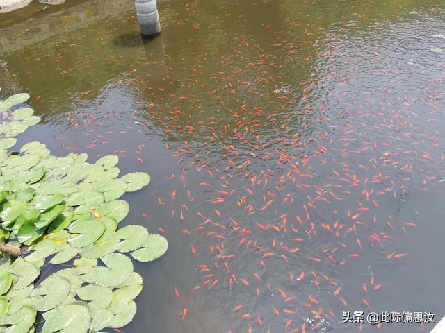 大珠山旅行路线，大珠山一日游