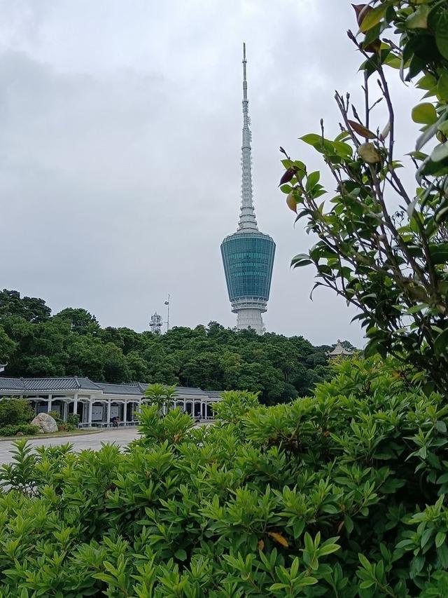 关于深圳梧桐山简介，深圳之巅——梧桐山