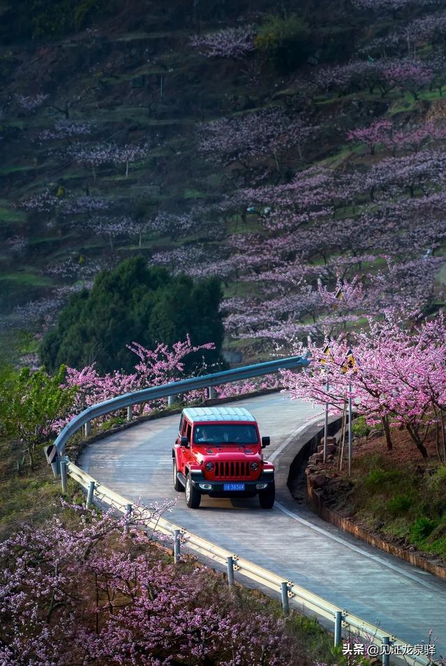 第36届桃花节开幕啦，又是一年三月三桃花节