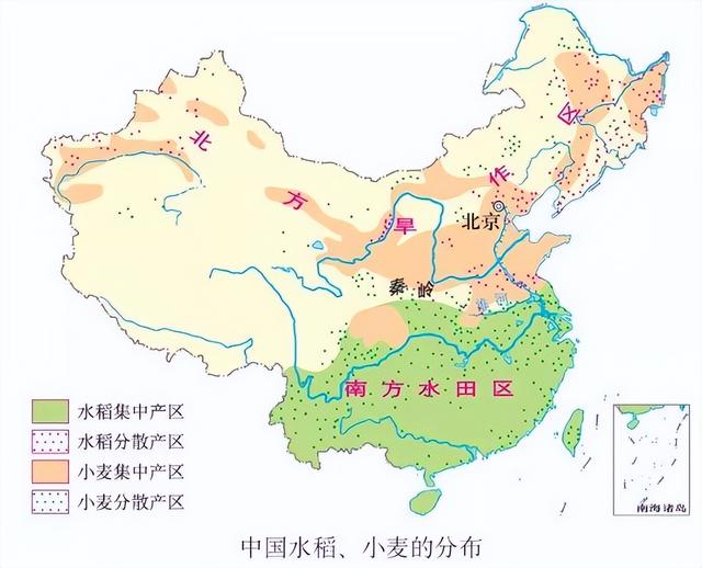 印度尼西亚面积和人口，世界粮食第一出口大国是哪个国家（人口2.62亿面积190万）