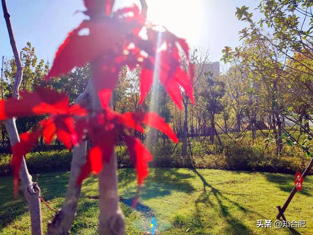 合肥以前叫什么，合肥地名的来历和变迁（咱能别胡扯了吗）