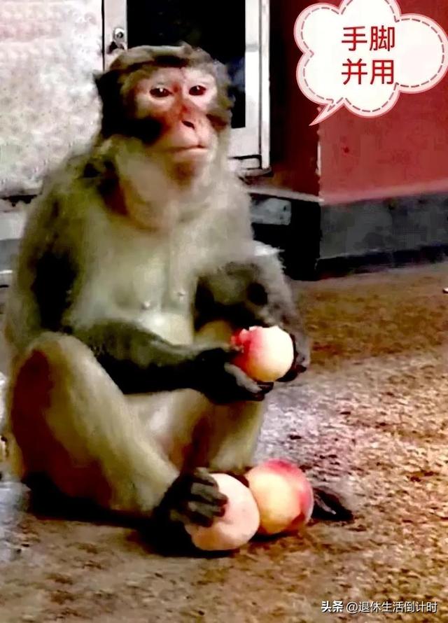 去张家界跟团游，张家界旅游纯玩团攻略和花费