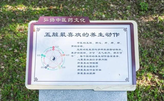 广州绿道田园景点，博罗这些高颜值绿道等你来打卡