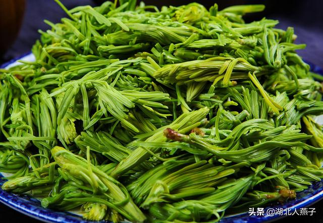 野菜的种类和图片大全，四季野菜图文大全（最美味的15种野菜）