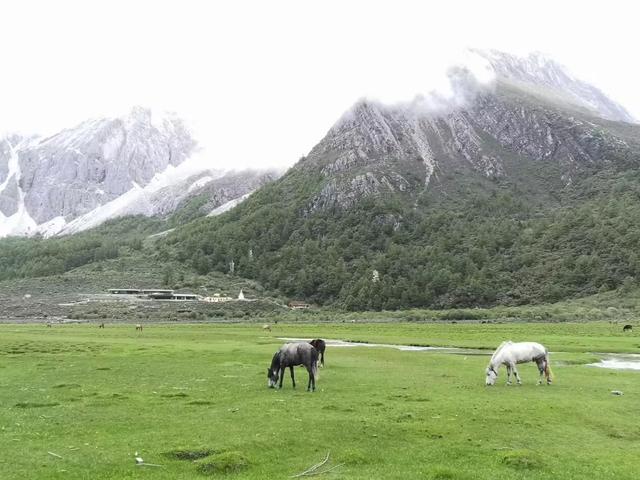 赞美小女初长成，赞美小女初长成的感言（吾家有女初长成——小“格格”给大“格格”的信）
