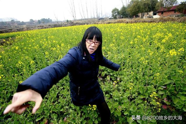 心灵无处安放需要一种寄托，给灵魂找一个寄托