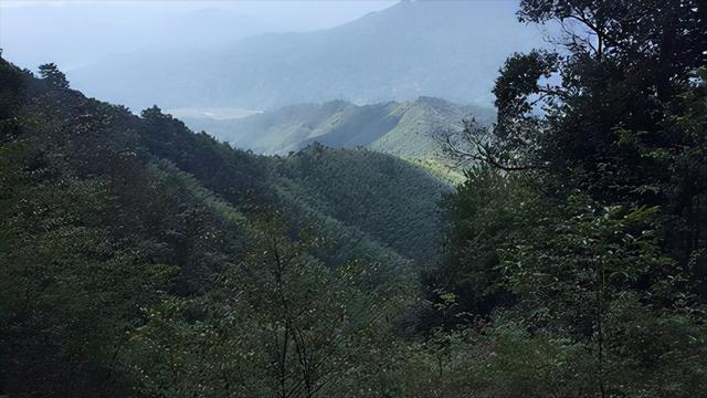 齐天大圣墓真实存在吗，考古发现“齐天大圣墓”