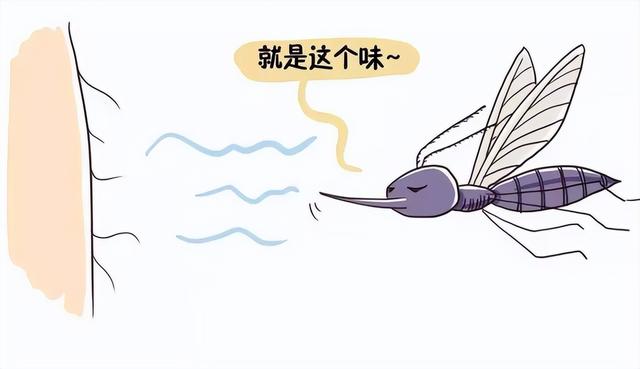 o型血有什么好处，o型血的人有什么好处（这种情况下，O型血不能乱输）