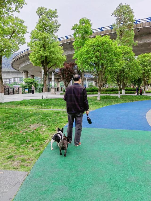 北碚有什么好玩的，重庆好耍的公园（重庆本地人想开了）