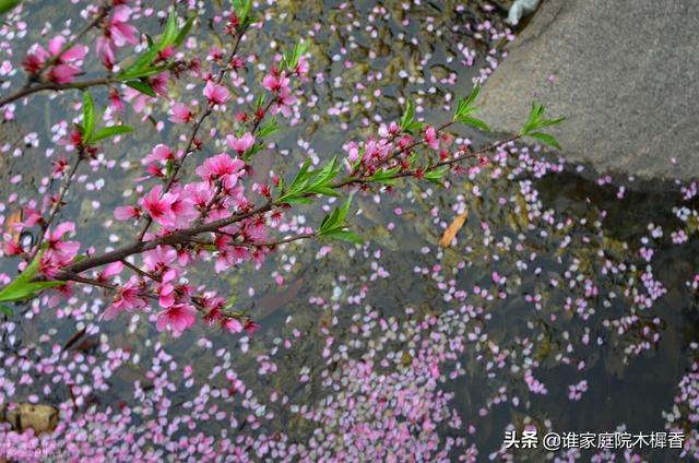 高适边塞诗简短，王观的这首送别词