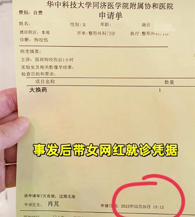 女子逗狗被咬后续，女网红擅自逗狗被咬伤脸