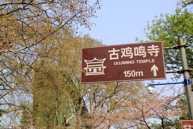 冬天的南京最美的风景，盘点南京春天最美的6个地方