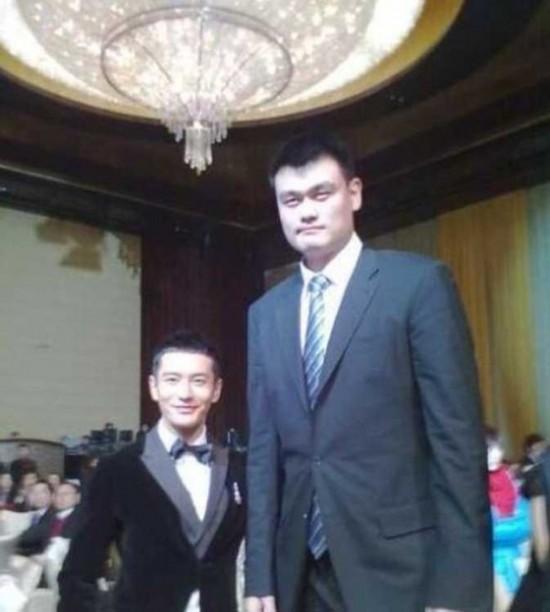 鹌鹑是保护动物吗，芦丁鸡算保护动物