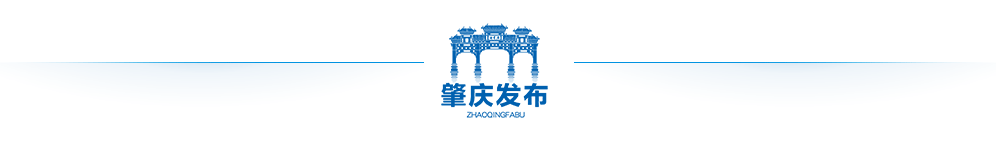肇庆新区学校规划图，肇庆一批新建、扩建学校即将投入使用