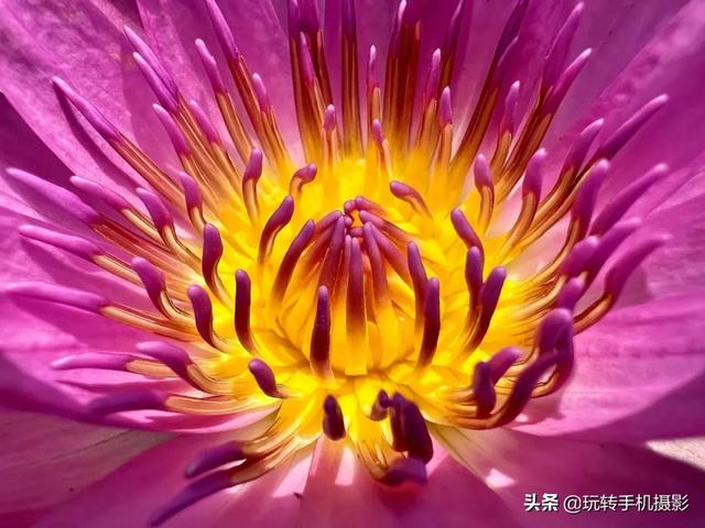 绿色星球有哪些，豆瓣评分9.8的绿色星球