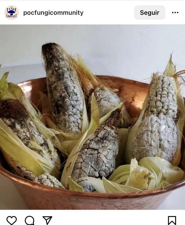 墨西哥玉米怎么吃，普通玉米摇身一变成网红美食