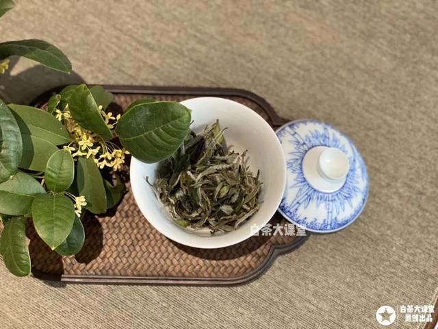 茶具哪种盖碗好，喝茶讲究用盖碗，老茶客必备之