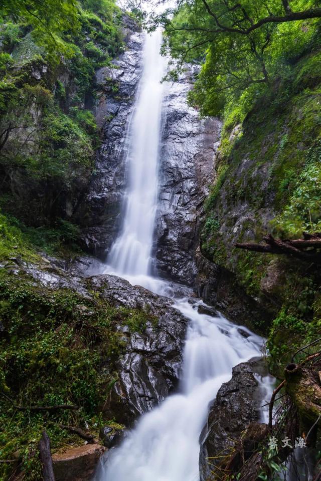 鸡足山旅游攻略，11月免费的大理宾川鸡足山（大理宾川鸡足山景区旅游攻略）