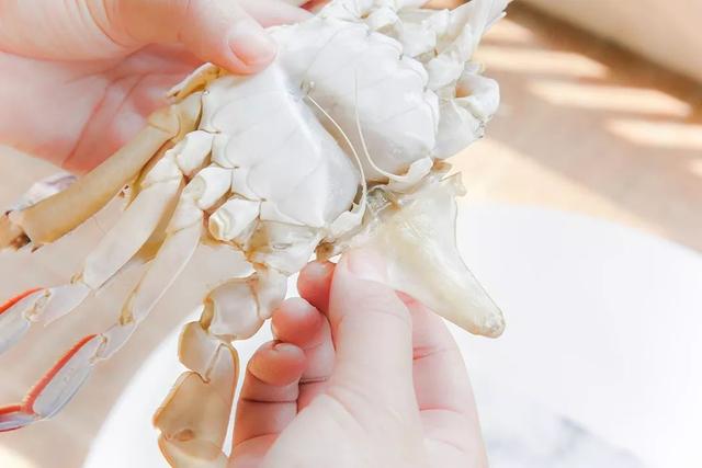 梭子蟹什么季节吃好吃，整个秋天的“鲜”全在这