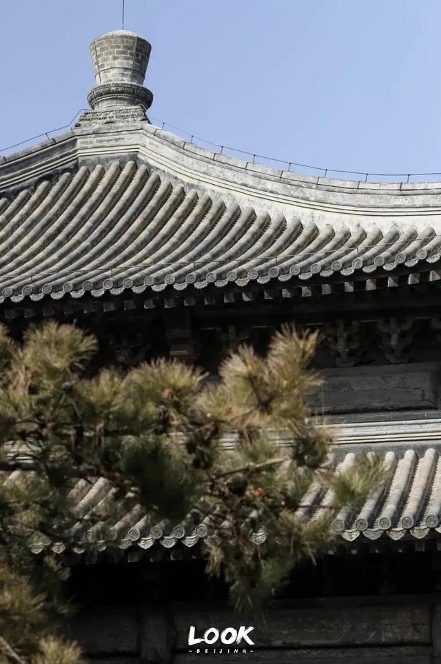 北京周末好去处市区，周末打卡好去处-白塔寺