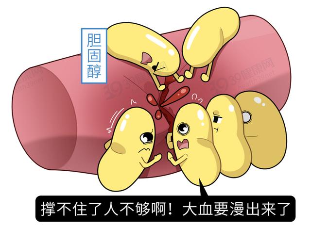 胆固醇和肥胖(胆固醇和肥胖,引起的高血压怎么办)