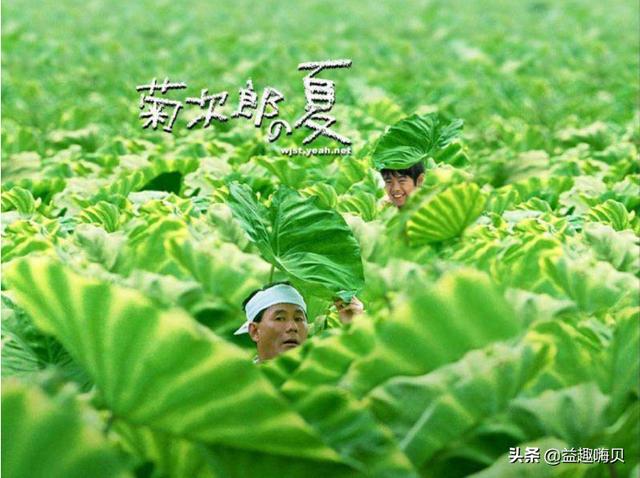 适合8-12岁儿童看的动画片，适合孩子暑假看的5部经典电影