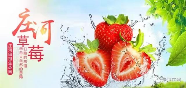 大连地方土特产，大连市特产