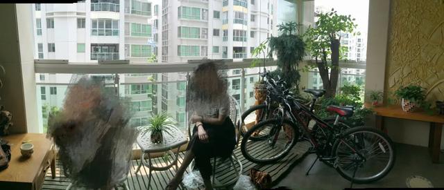 法式花园如何欣赏，海妈花园访问阳台花园满分案例