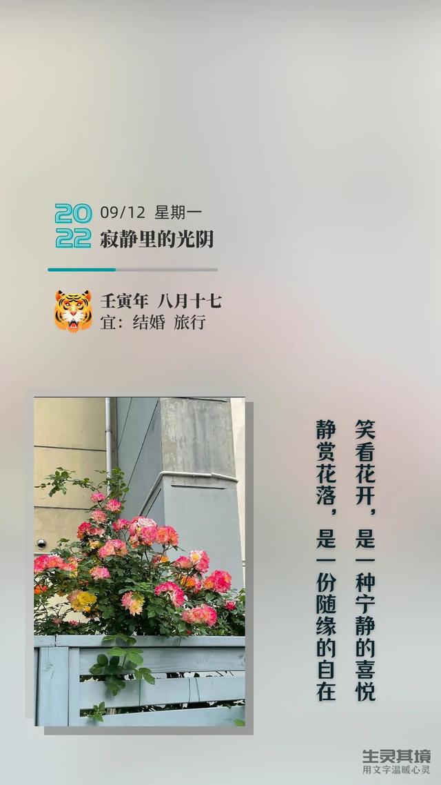 你若不离我定不弃，此生有你你若不离我定不弃的句子（你若不离，我定不弃）