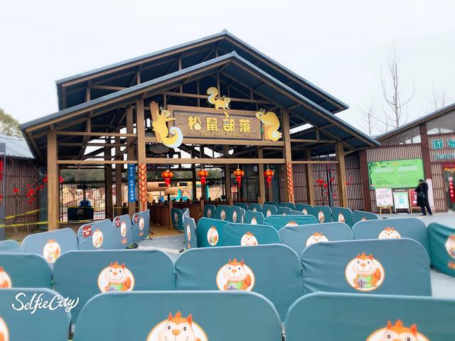 南京冬天哪里好玩，冬季南京遛娃必去景点