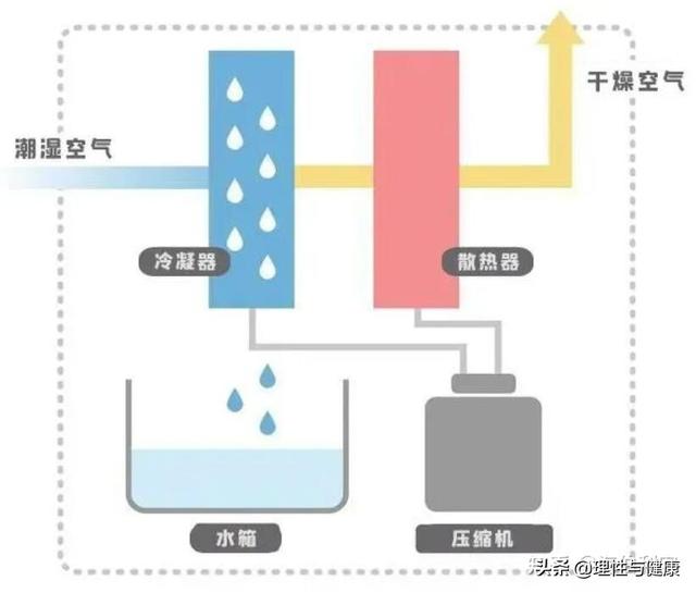 除湿机哪个品牌好，十大除湿机品牌排名（十大除湿机排行榜靠前品牌值得选择）