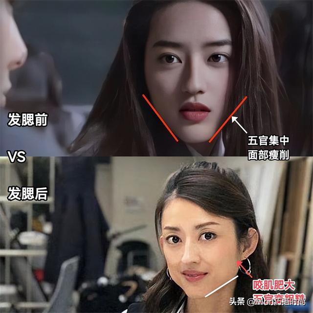 体态肥胖(体态肥胖打一最准确动物)
