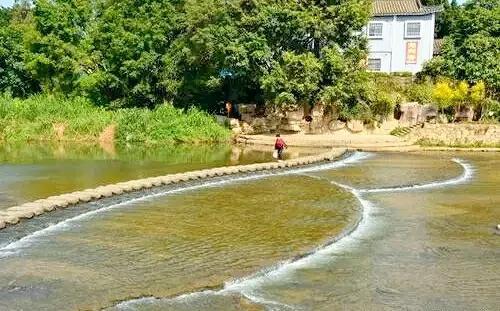 深圳免费钓鱼地方推荐，深圳这3个地方免费钓鱼