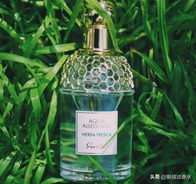 好闻的香水一般前调是什么味道的，撞香率1%的迷人香水