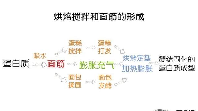 做面包的面团怎么揉才光滑，烘焙人必学的面包揉面攻略