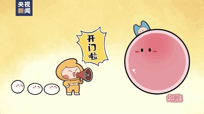 什么是胰岛素糖尿病(什么是胰岛素糖化检查)