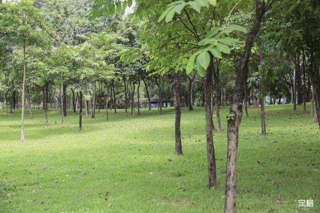 深圳地铁1号线游玩，免费地铁直达深圳这些地方一天玩遍