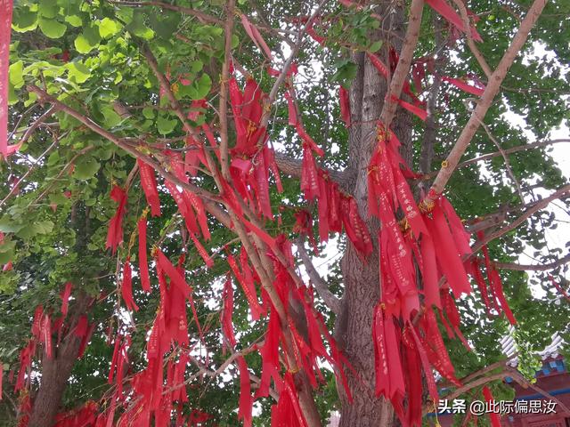 大珠山旅行路线，大珠山一日游