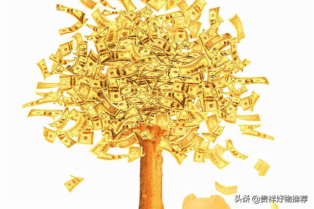 旺财发财树，八种植物招财又旺宅