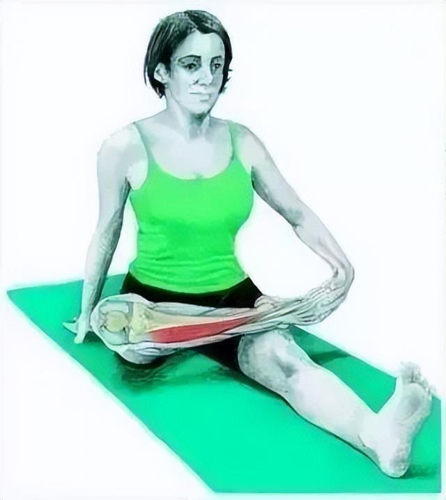 10分钟懒人拉伸训练动作，这6组33个拉伸动作绝了