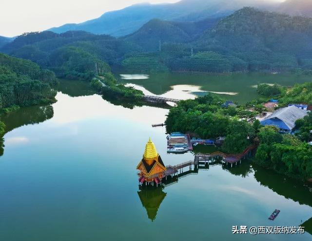 望天树景区跟原始森林去哪个好，望天树景区开园了