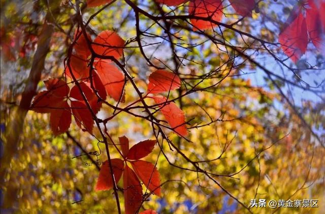 石家庄十个免费景点，石家庄周边有几个免费的景点