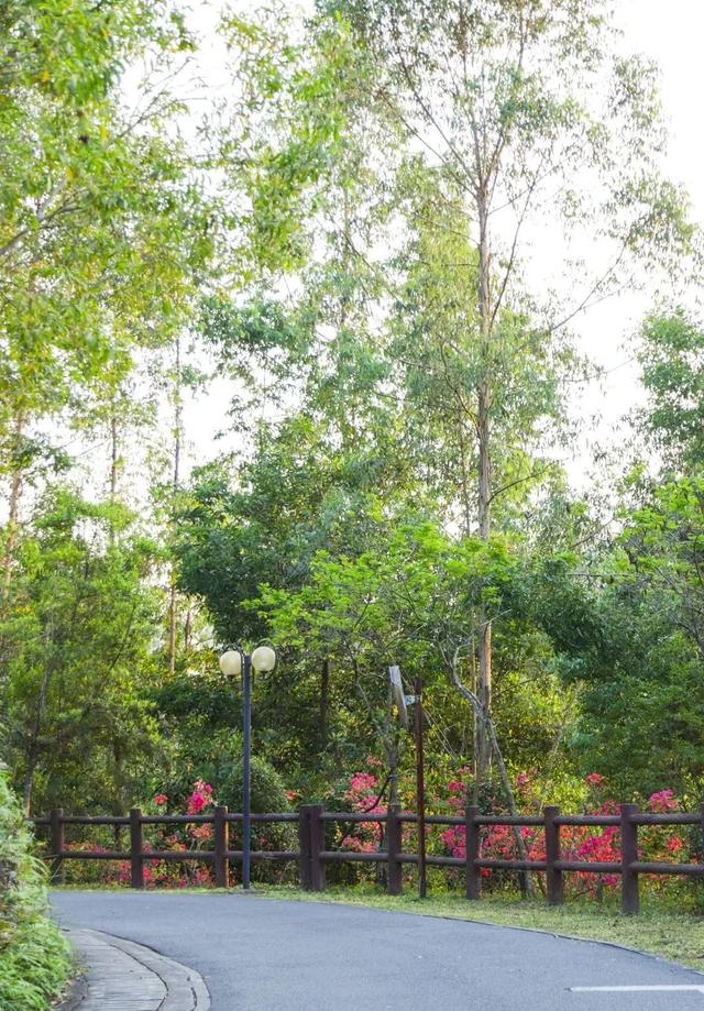 广州绿道田园景点，博罗这些高颜值绿道等你来打卡