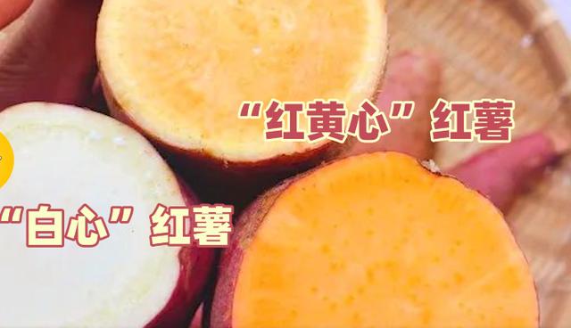 地瓜红心和黄心的区别，白心和红心有啥区别
